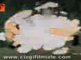 Temel Reis - Temel ve Safinaz Piknikte (www.cizgifilmizle.com)
