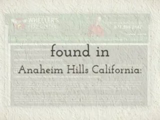 commercial pest control los angeles