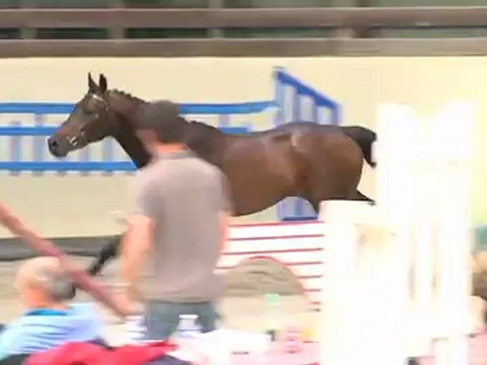 Consermo sélection Fences 28 mai 2012