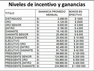 Plan de compensacion de Oriflame