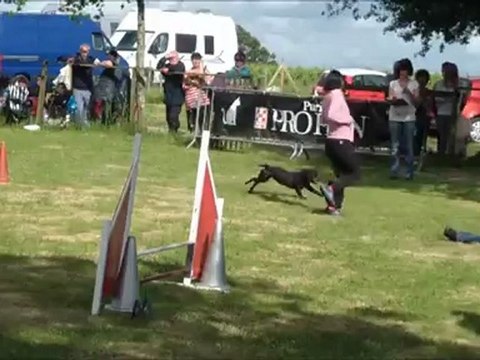 Maud et Vodka, concours de vertou Juin 2012