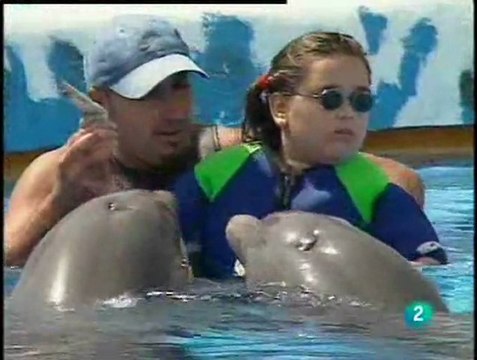 Delfines contra el autismo