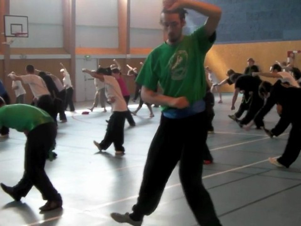 Vevins  - Qi Gong