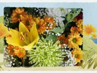 Bloemen Bezorgen Amsterdam 020-6610903