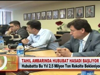 TAHIL AMBARINDA HUBUBAT HASADI BAŞLIYOR