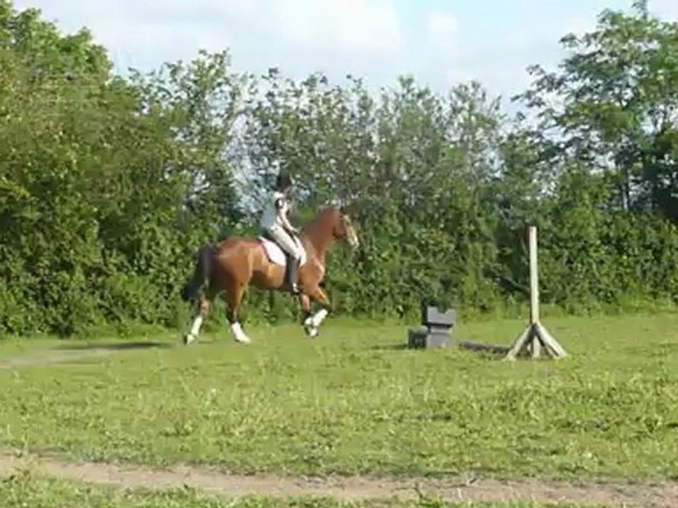 U'Two séance du 04 juin 2012