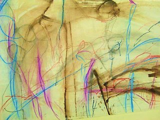 Audomarois et côte d'Opale