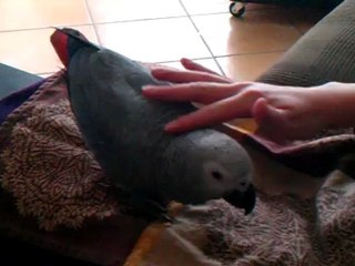 MOMENTS DE TENDRESSE