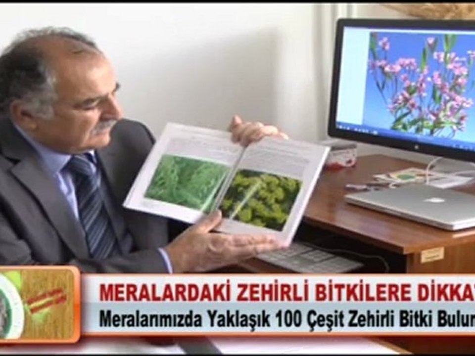 MERALARDAKİ ZEHİRLİ BİTKİLERE DİKKAT!