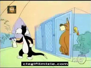 Tweety ve Sylvester - imdat (www.cizgifilmizle.com)