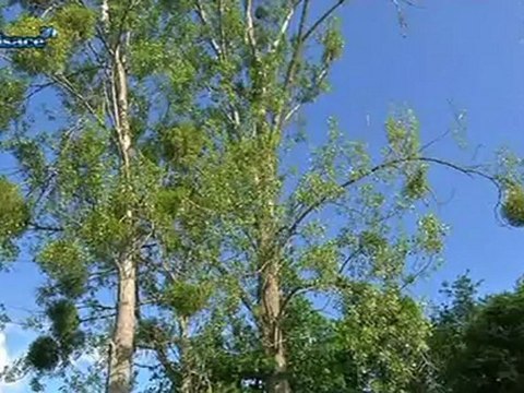 Législatives: la 5ème circonscription du Bas-Rhin