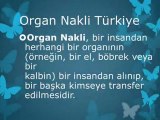 Organ Nakli Nedir,Organ Bağışı,Organ Nakli Nasıl Yapılır,Böbrek Nakli,Organ Naklinin Önemi,