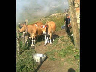Karadeniz türküleri