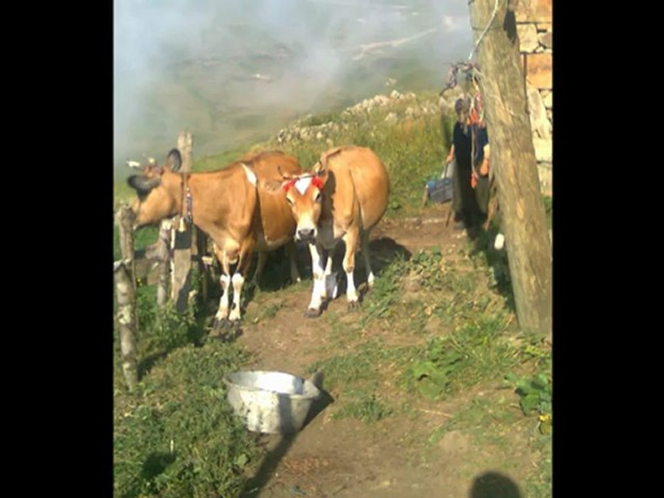 Karadeniz türküleri