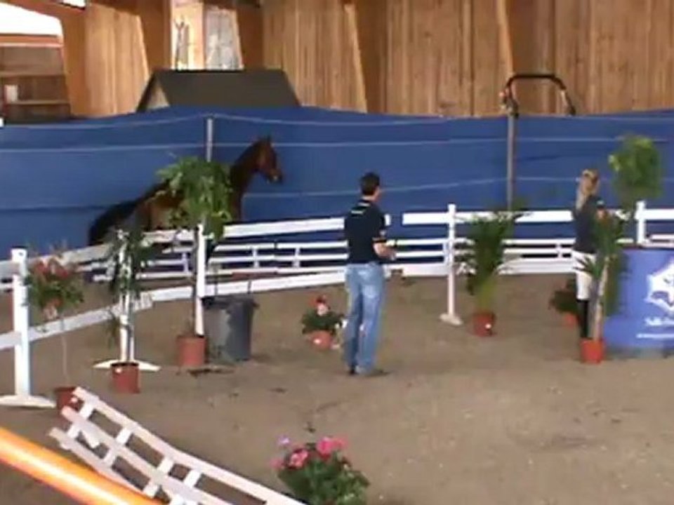 ABACO MODELES ET ALLURES MALES 2 ANS LE MANS 2012 SAUT EN LIBERTE