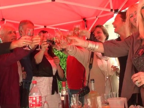 Grande Soirée de Gala organisée par le Centre Chorégraphique Bouichet Sawas au profit de l’association France Parkinson, le 22 juin 2012 à Carcassonne :