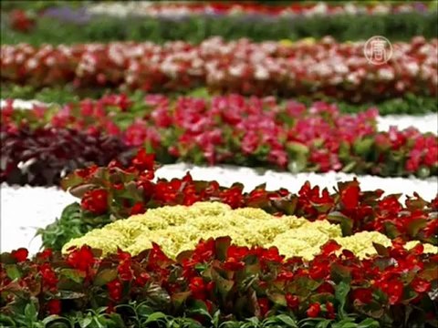 Выставка цветов к Евро-2012 открылась в Киеве