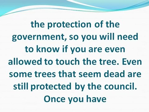 Trimming or Removing Trees Safely