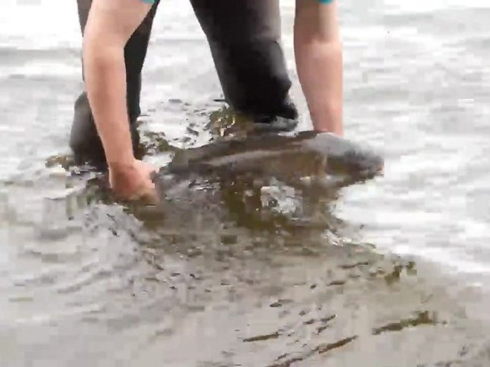 Mois du sport Cébron : Les pieds dans l'eau