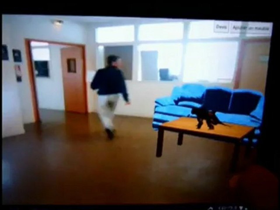 WellHome : Simulation d'aménagement d'intérieur, aide à la prise de décisions - ppe 2012