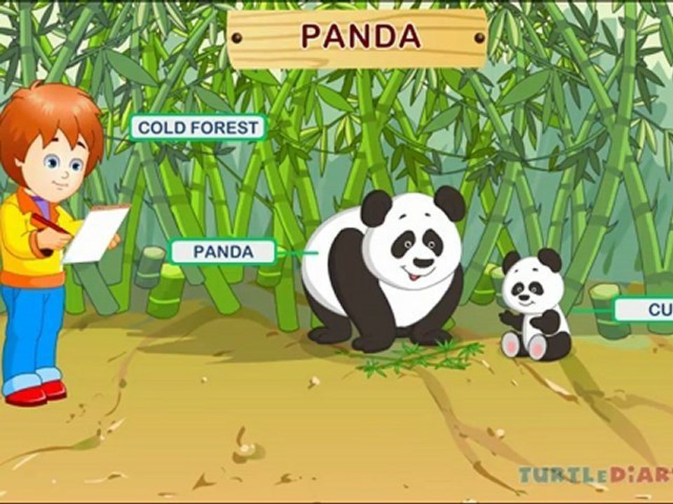 Learn all about the Wild Animals at www.turtlediary.com