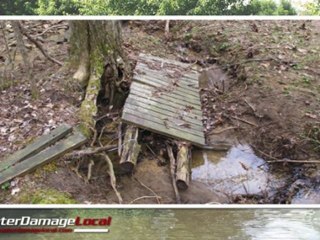 Bellevue Water Extraction