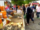 VIDEO Lencloître: volailles et candidats à la foire