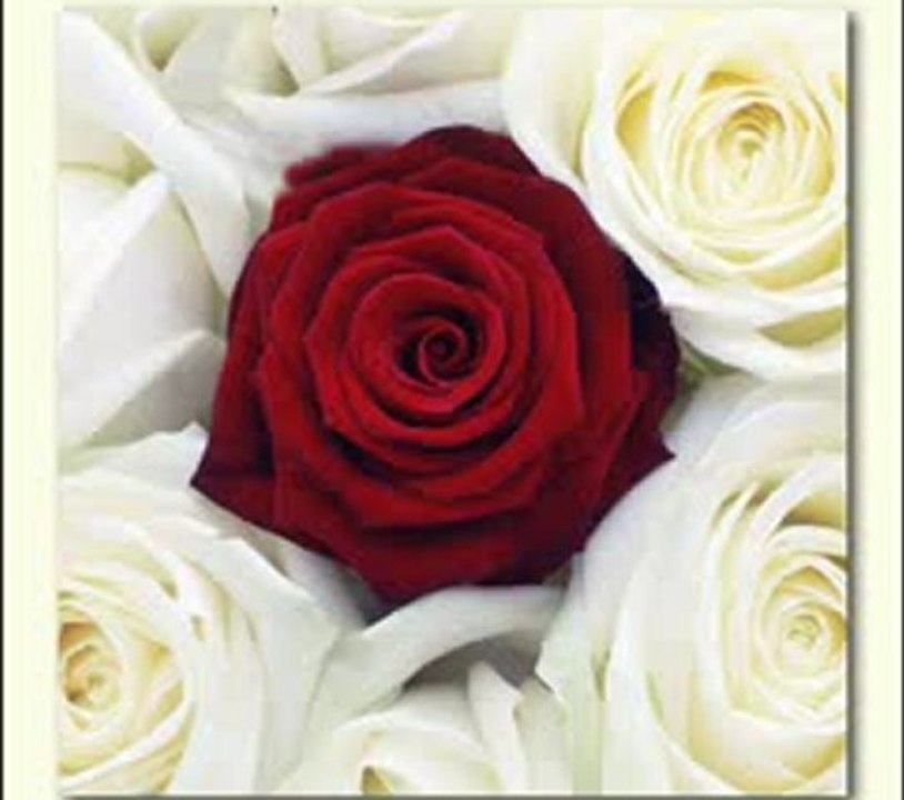 sabahat   AKKİRAZ  " KINALI  KAR"