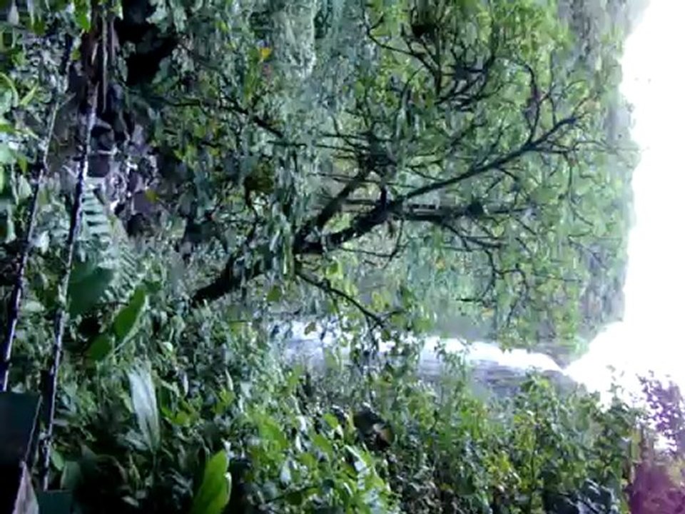 MOV - chutes Carbet - Guad2