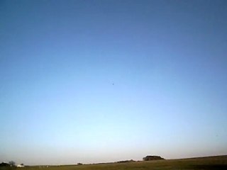 Mirage 2000 Nato Tiger Vol1