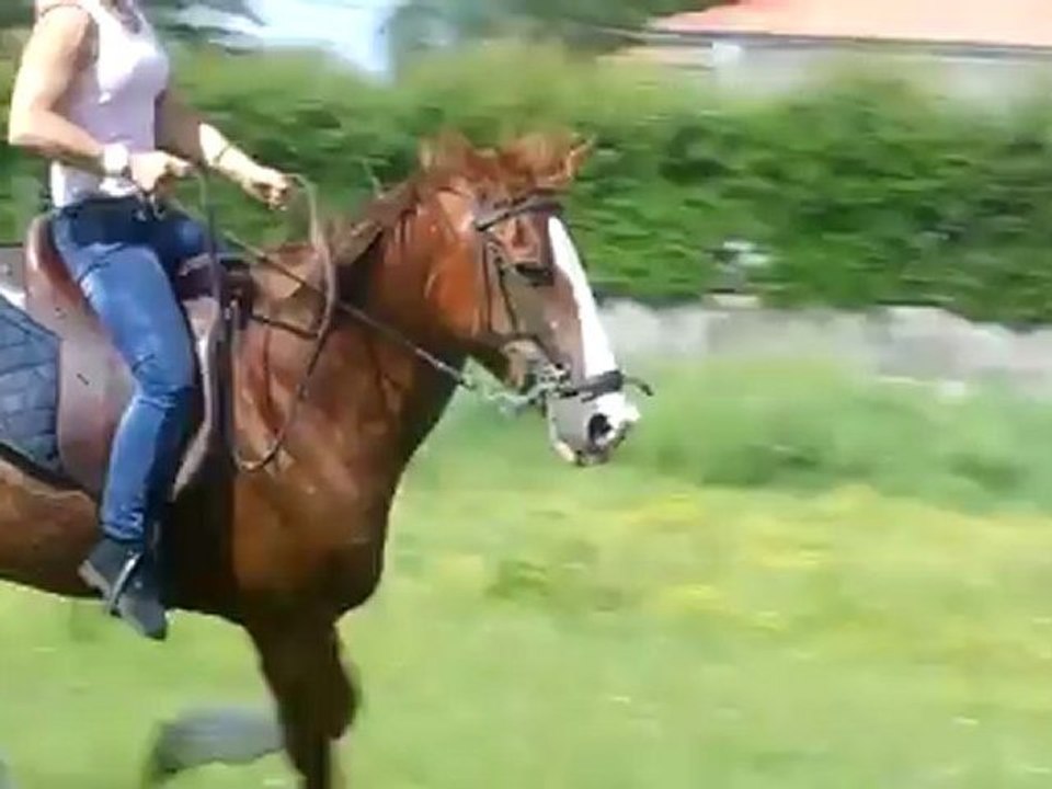 cathy à cheval 2
