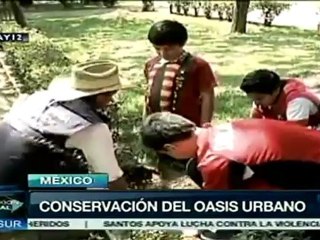 Conservación de áreas verdes en la Ciudad de México