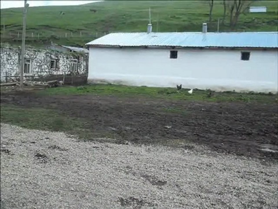 KARS KARACOBAN