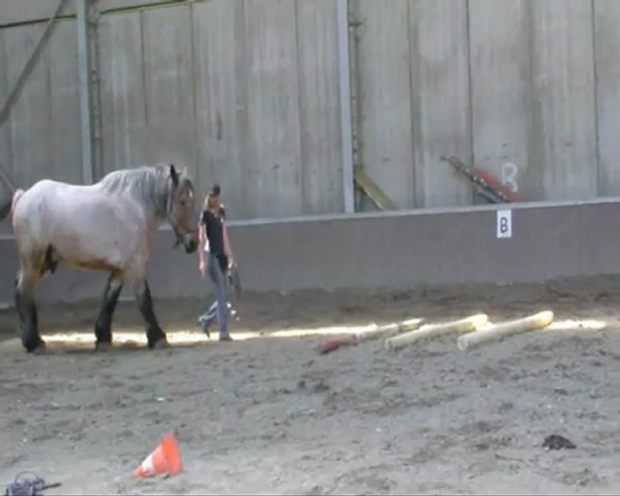 video Gribeauval