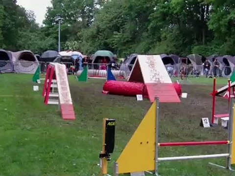 Taiga, épagneul breton, concours agility Folschwiller, 03/06/2012,GPF