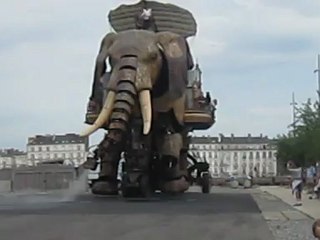 Eléphant Nantes