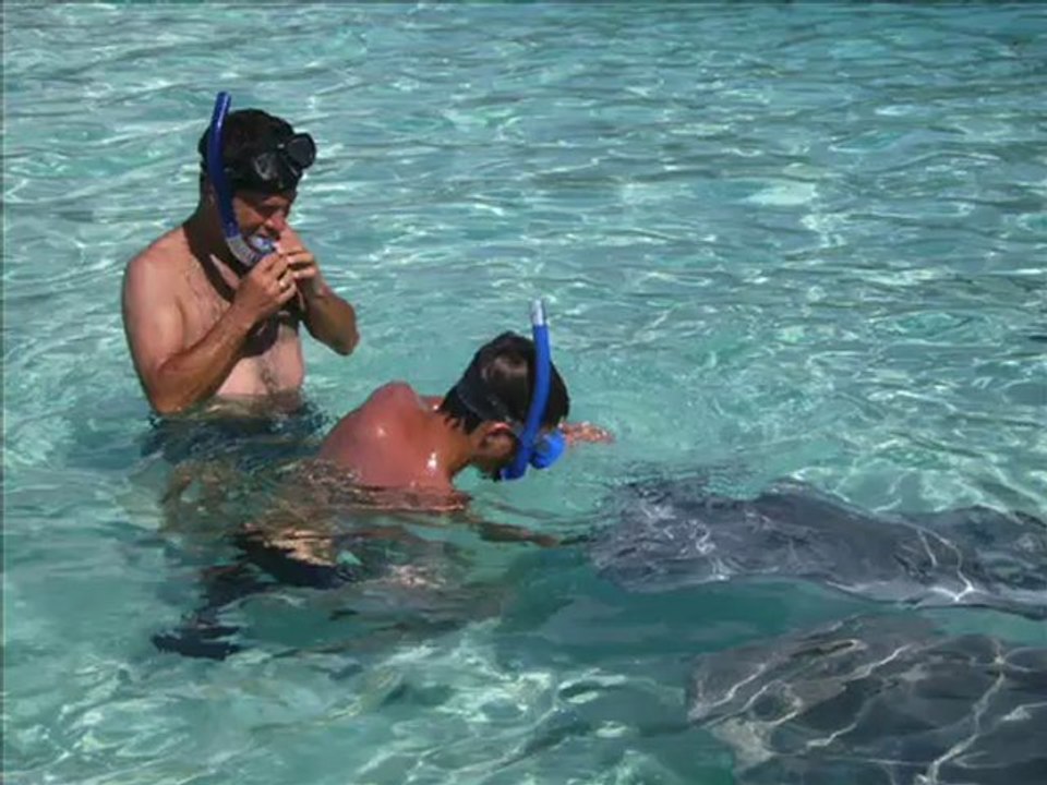 Polynésie - Moorea - Nager avec les raies