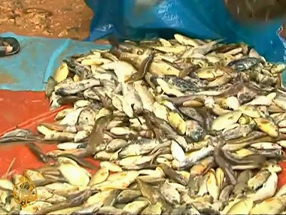 SL floods force fish off the menu