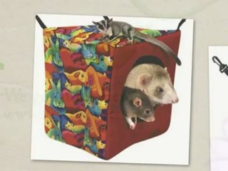 Beds for Small Pets!