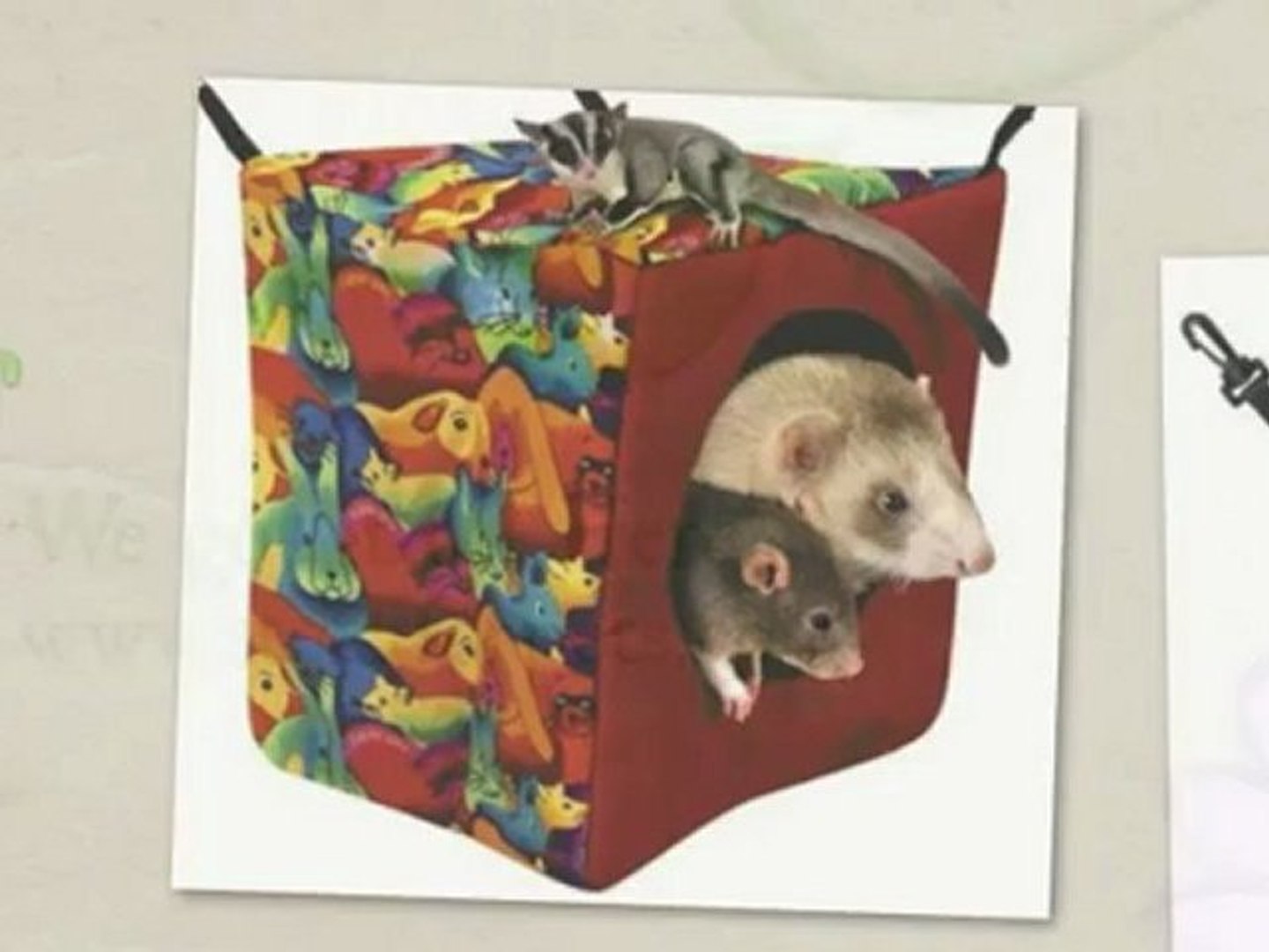 ⁣Beds for Small Pets!