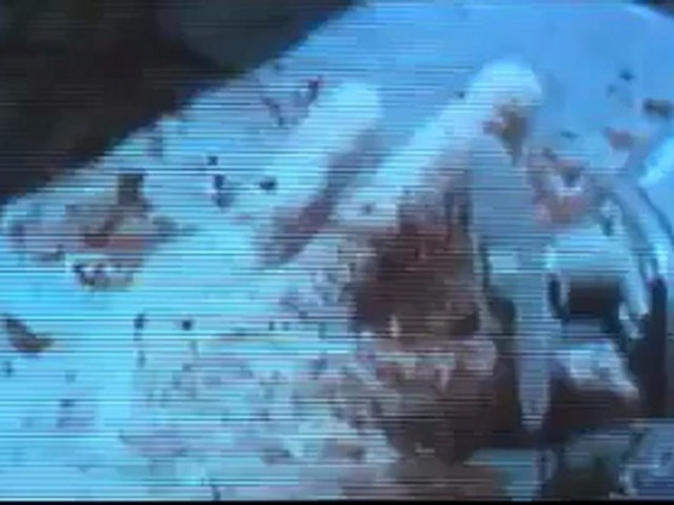 Nictophobia  Folter in der Dunkelheit