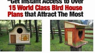 Bird House Plans - Bird House Plans Exclusive Designs - blue bird house plans