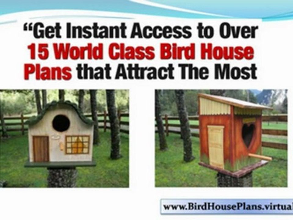 Bird House Plans - Bird House Plans Exclusive Designs - blue bird house plans