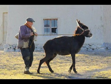 Ben hayatta en çok ,Bu adam benim BABAM Tam Ekran İzle Paylaş Lütfen