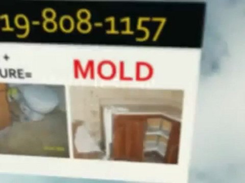Mold Testing, Raleigh 919-808-1157