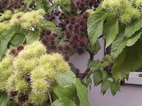 Actaris 3 phase kWh meter in outside meterbox