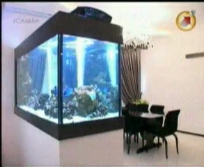 Проект мечты.эп-8.Архитектор Екатерина и Андрей Андреевы