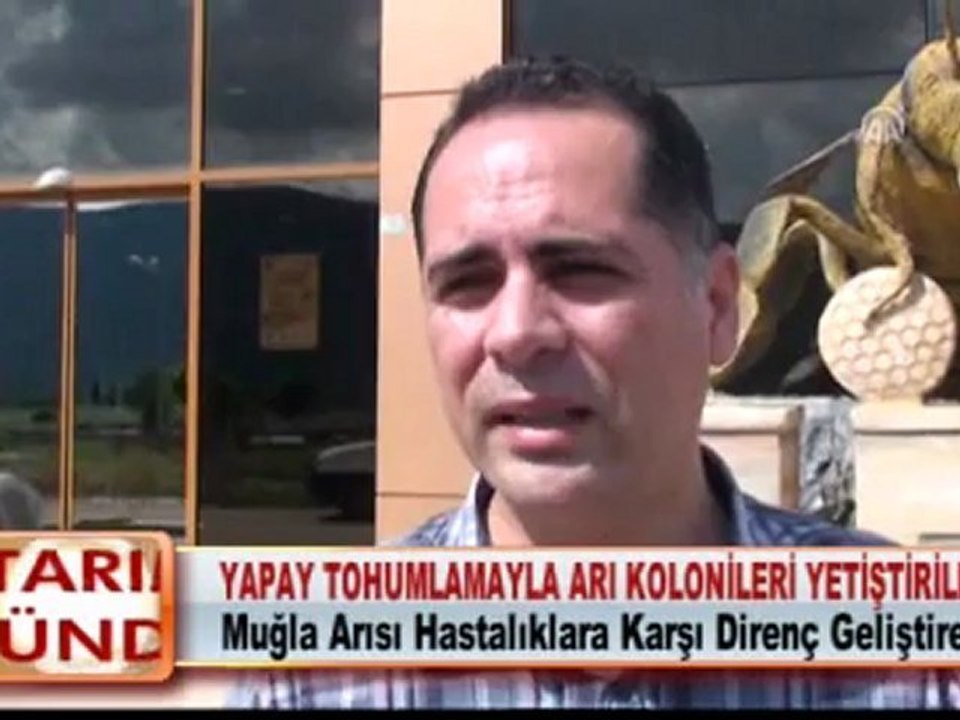 YAPAY TOHUMLAMAYLA ARI KOLONİLERİ YETİŞTİRİLECEK