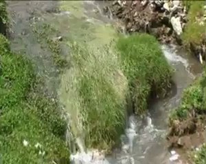 Karadenizden esintiler yayla