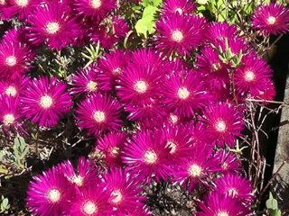 11/11/11: The Significance of the 11th Day and Time